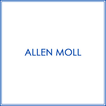 BlueJose Fire Gray Bowling and Pins Personalized Name Team Name 3D Shirt for Allen Moll