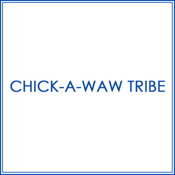 BlueJose Billiards Shirt For Chick-a-waw Tribe Team