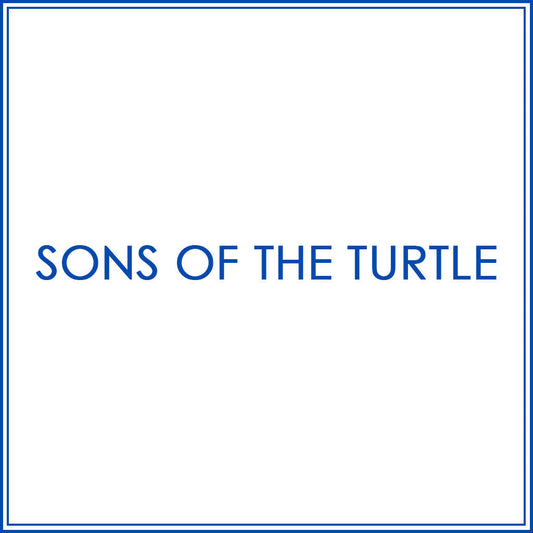 BlueJose Billiard Sons Of The Turtle Personalized Name, Team Name Unisex Shirt