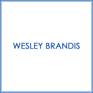 BlueJose Darts Shirt For Wesley Brandis